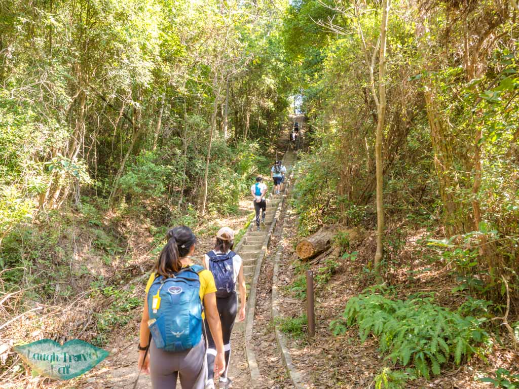 to proper mid kau nga trail start stop lantau island hong kong - laugh travel eat