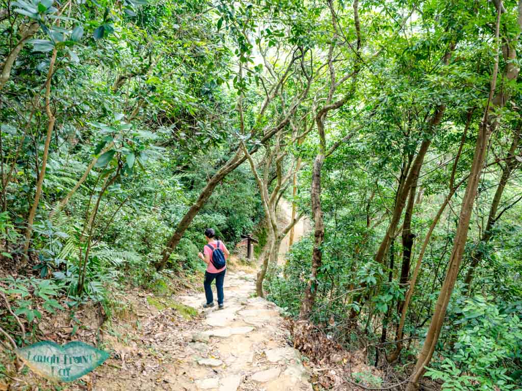 Lau Shui Heung Reservoir to hok tau reservoir new territories hong kong - laugh travel eat