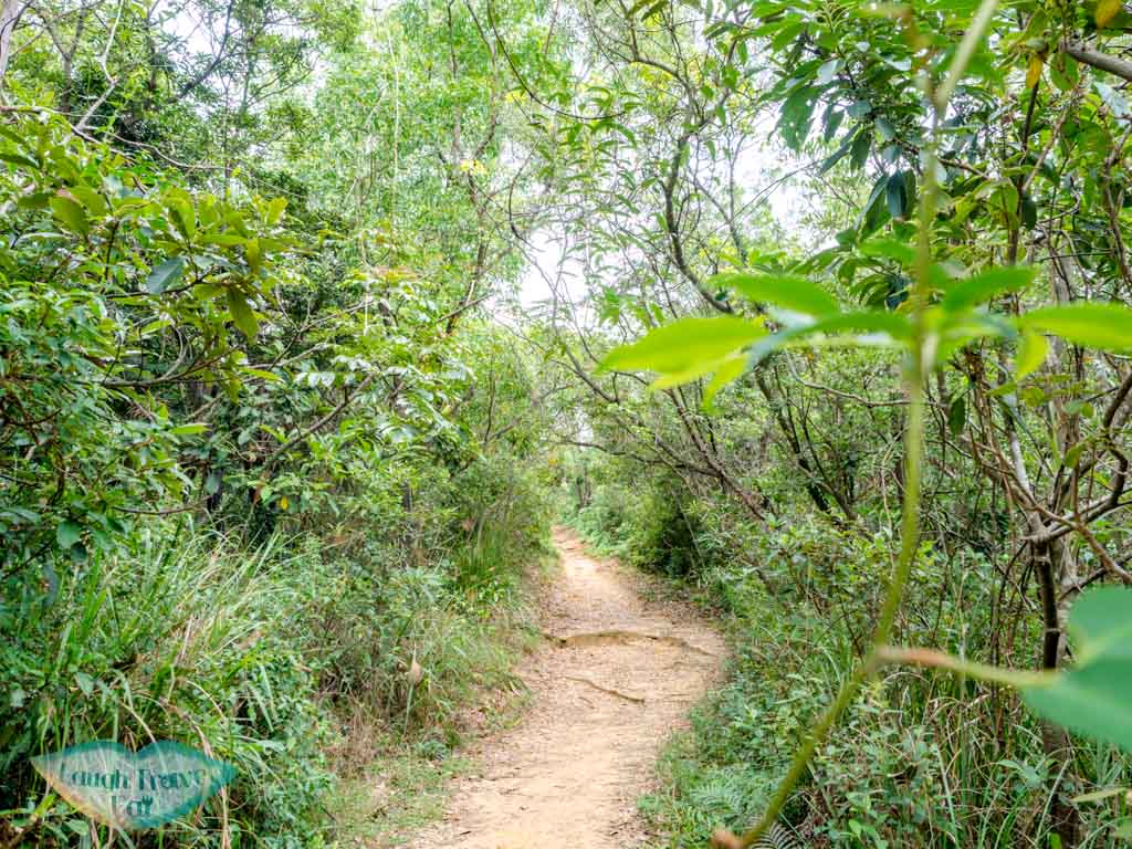 Lau Shui Heung Reservoir to hok tau reservoir new territories hong kong - laugh travel eat