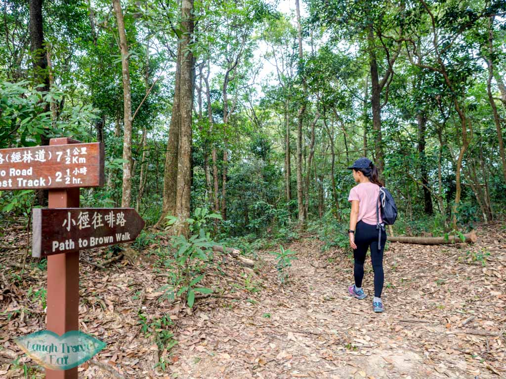 brown trail tai po kau nature reserve new territories hong kong - laugh travel eat