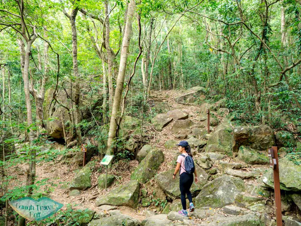 brown trail tai po kau nature reserve new territories hong kong - laugh travel eat