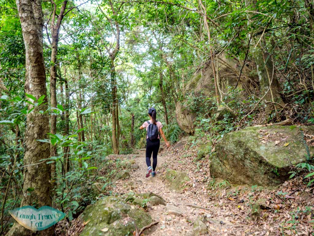 brown trail tai po kau nature reserve new territories hong kong - laugh travel eat-4