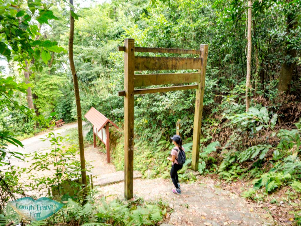 brown trail tai po kau nature reserve new territories hong kong - laugh travel eat-4