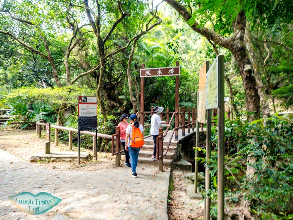 tree lined walkway Lau Shui Heung Reservoir from main road new territories hong kong - laugh travel eat