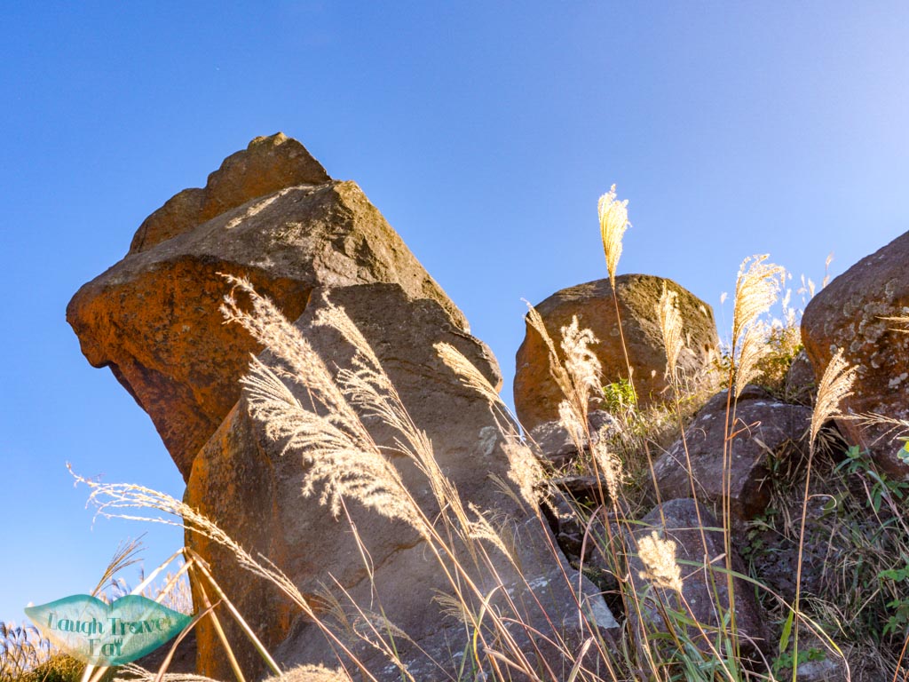 final stretch Wo Tong Kong to tai mo shan country park hong kong - laugh travel eat-2