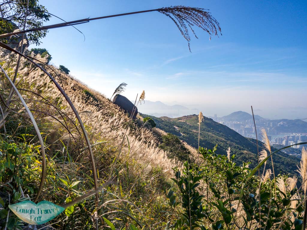 final stretch Wo Tong Kong to tai mo shan country park hong kong - laugh travel eat