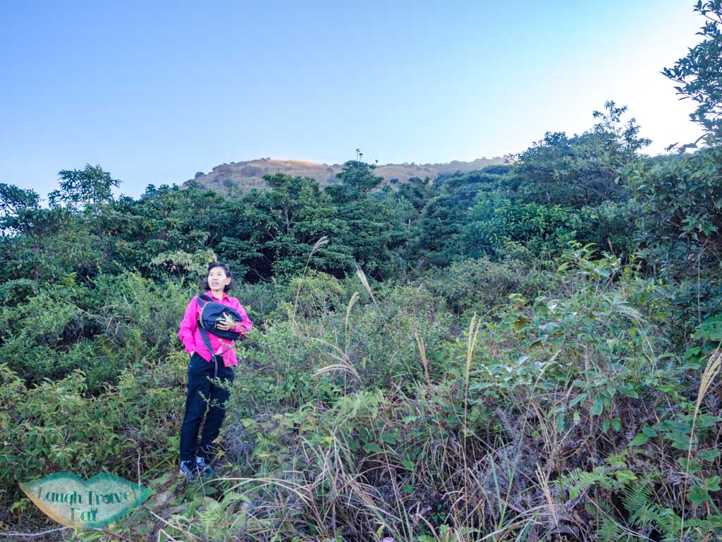 first stretch Wo Tong Kong to tai mo shan country park hong kong - laugh travel eat-2