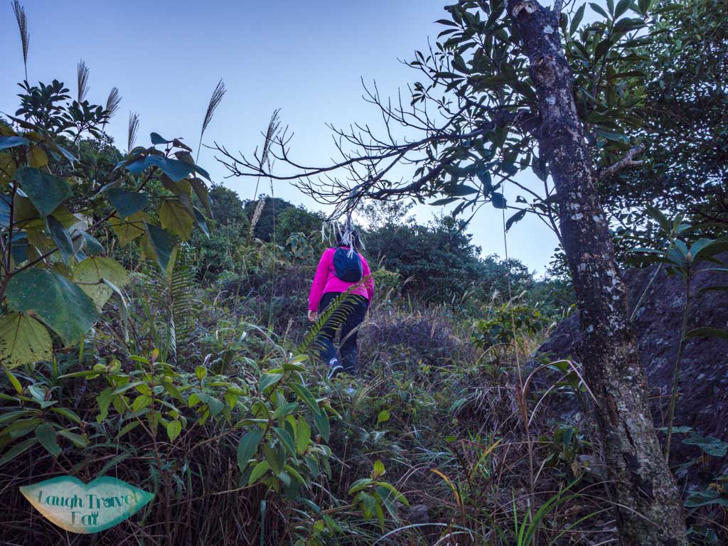 first stretch Wo Tong Kong to tai mo shan country park hong kong - laugh travel eat-2