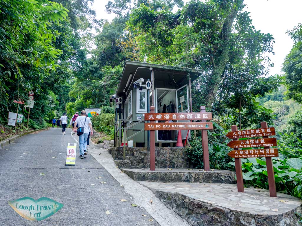getting out of tai po kau nature reserve new territories hong kong - laugh travel eat