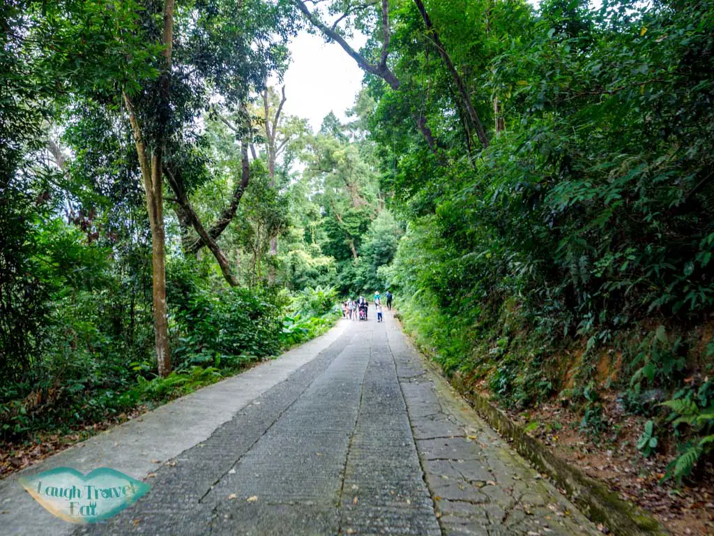 getting out of tai po kau nature reserve new territories hong kong - laugh travel eat