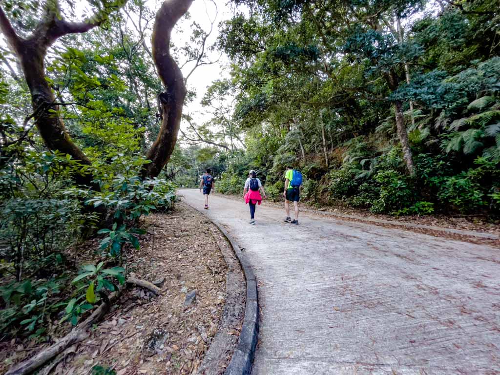 needle hill to grass hill concrete stretch hong kong - laugh travel eat