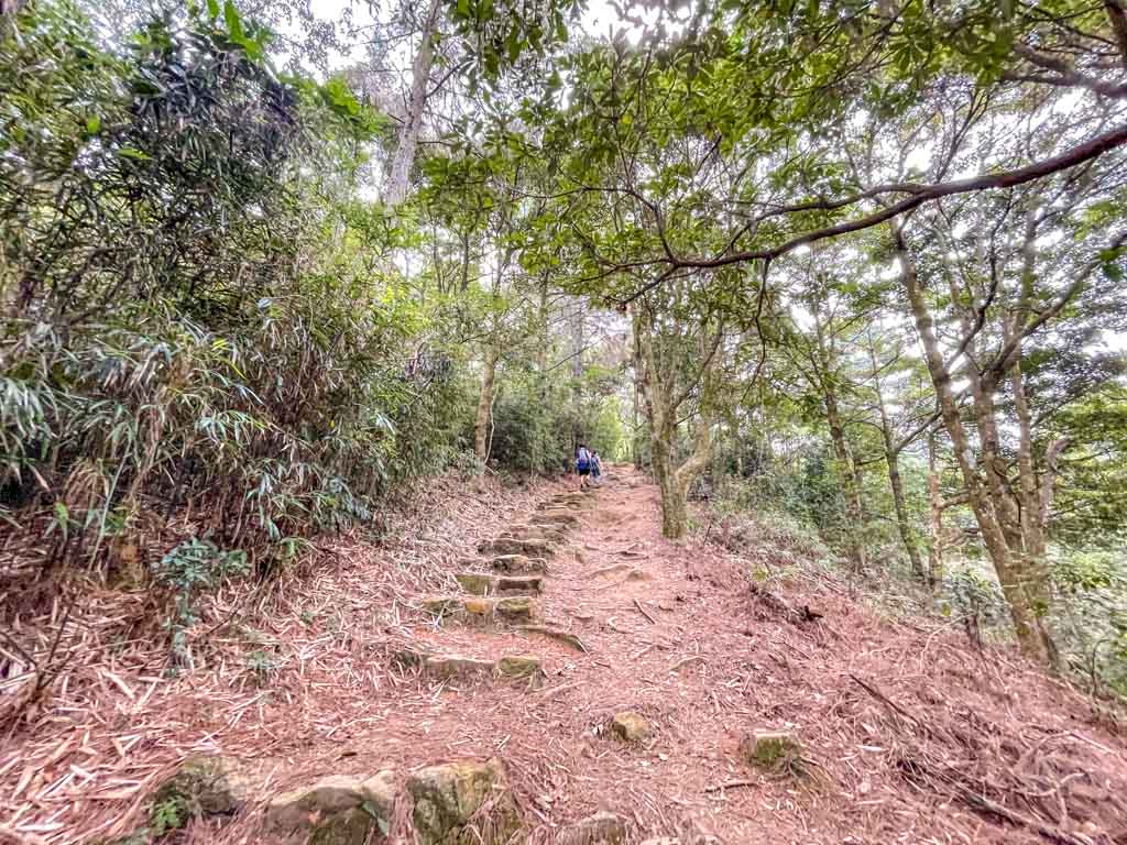 tai mo shan ng tung chai junction to sze fong shan au ng tung chai waterfall hike hong kong - laugh travel eat