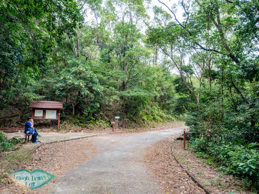 tai po kau forest track kong hang section new territories hong kong - laugh travel eat