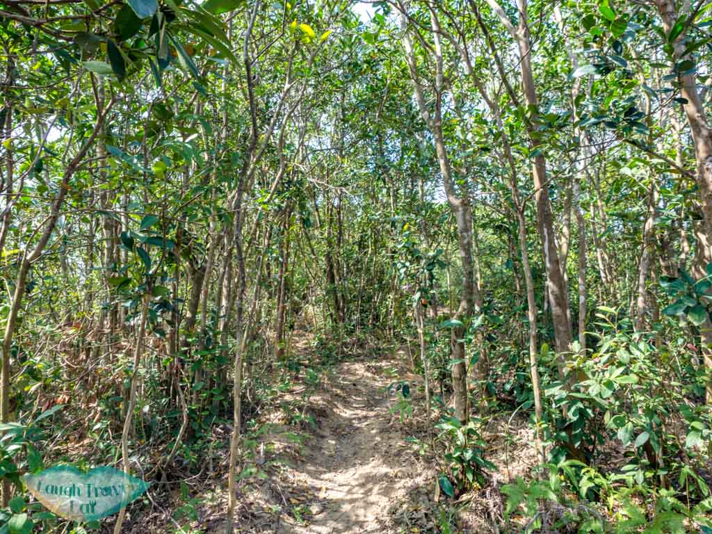 trail start to Ma Niu kau to shan fo tan new territories hong kong - laugh travel eat