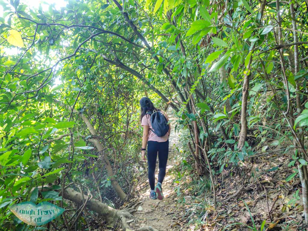 trail start to Ma Niu kau to shan fo tan new territories hong kong - laugh travel eat