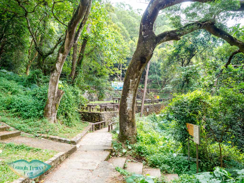tree lined walkway Lau Shui Heung Reservoir from main road new territories hong kong - laugh travel eat