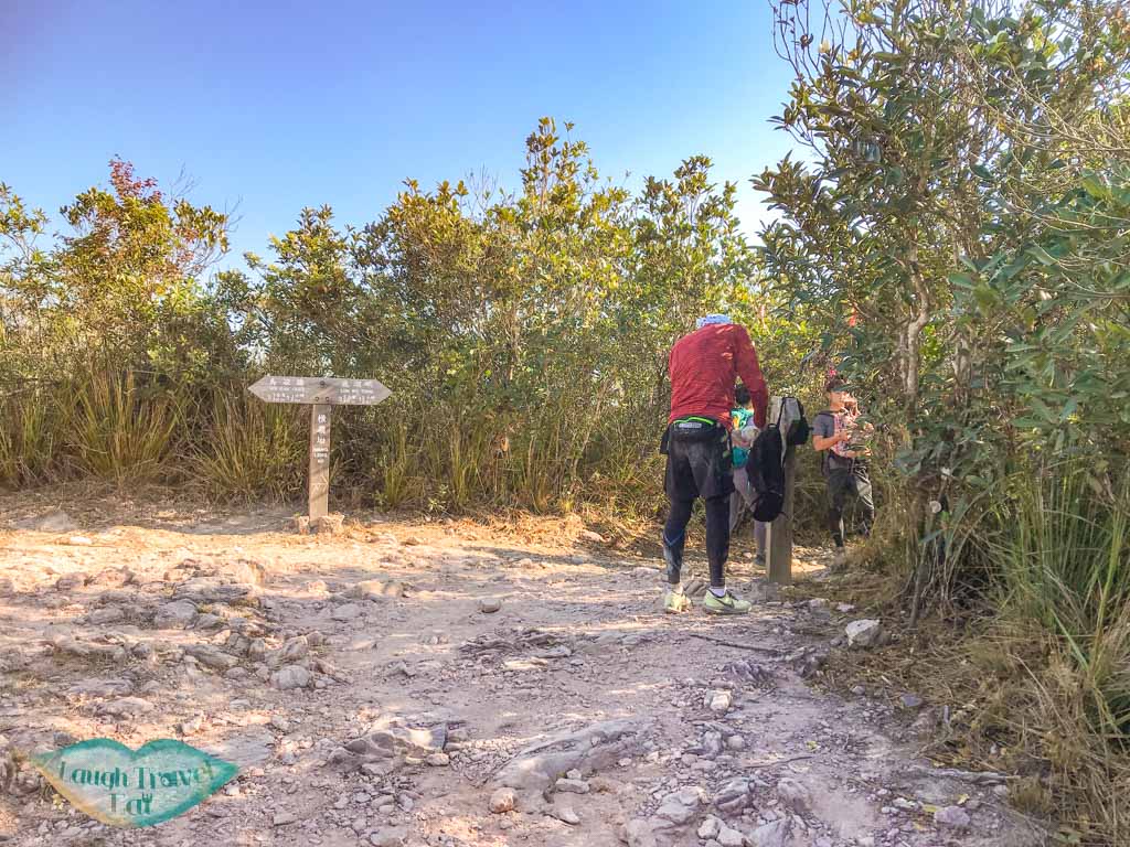 Chek Ma Tau to Mount Newland plover cove country park trail hong kong - laugh travel eat