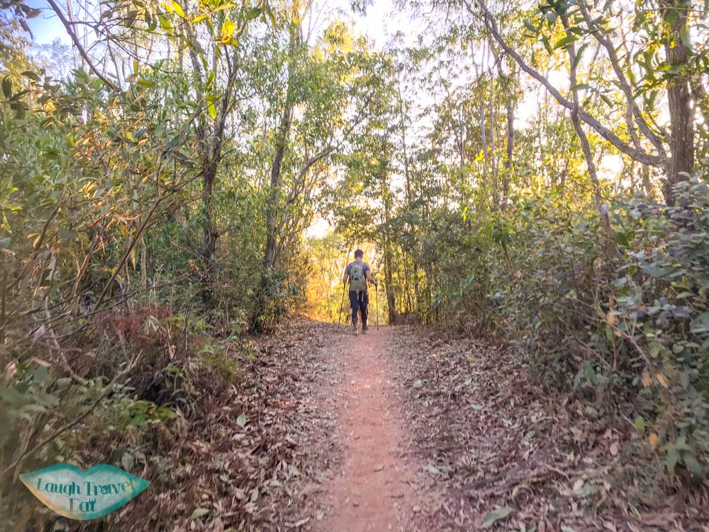 Cheng Pai Tung to tai mei tuk main trail plover cove country park trail hong kong - laugh travel eat