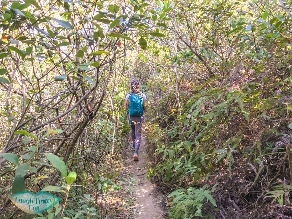 Fung wong wat teng wong chuk kok tsui bluff head plover cove country park trail hong kong - laugh travel eat
