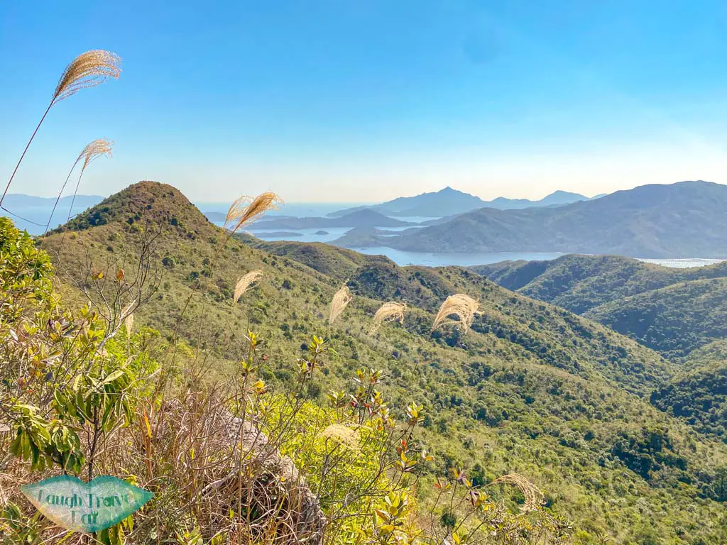 Mount Newland plover cove country park trail hong kong - laugh travel eat-2