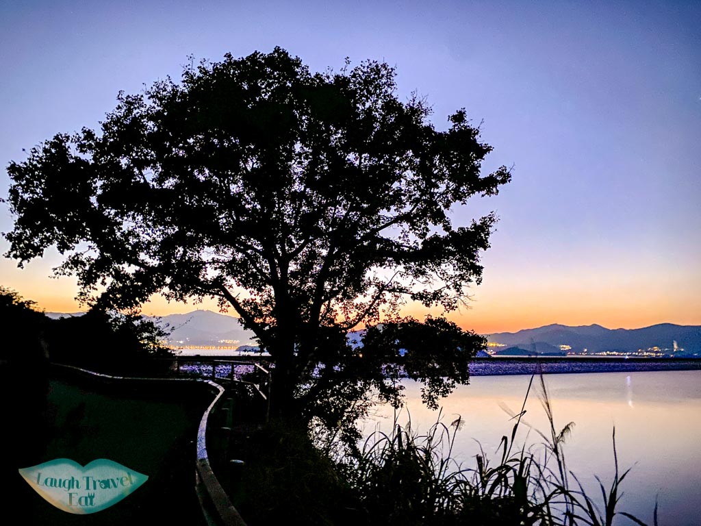 Pak Kung Tsui to tai mei tuk main trail plover cove country park trail hong kong - laugh travel eat