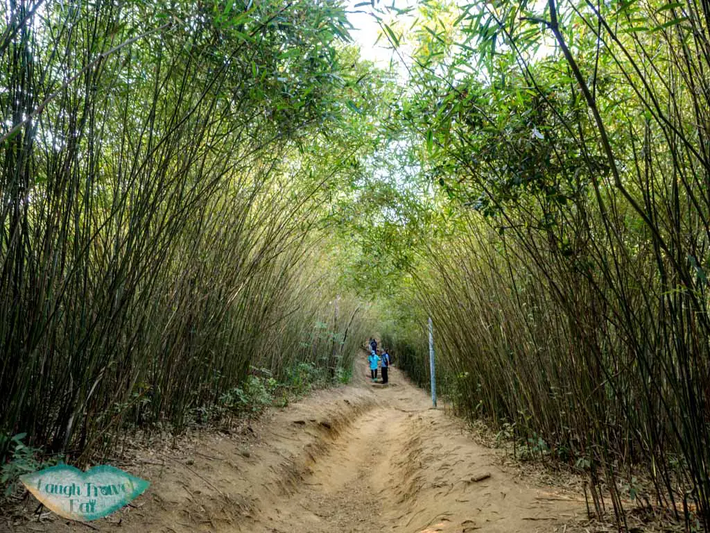 bamboo tunnel pak kong mau ping sai kung hong kong - laugh travel eat