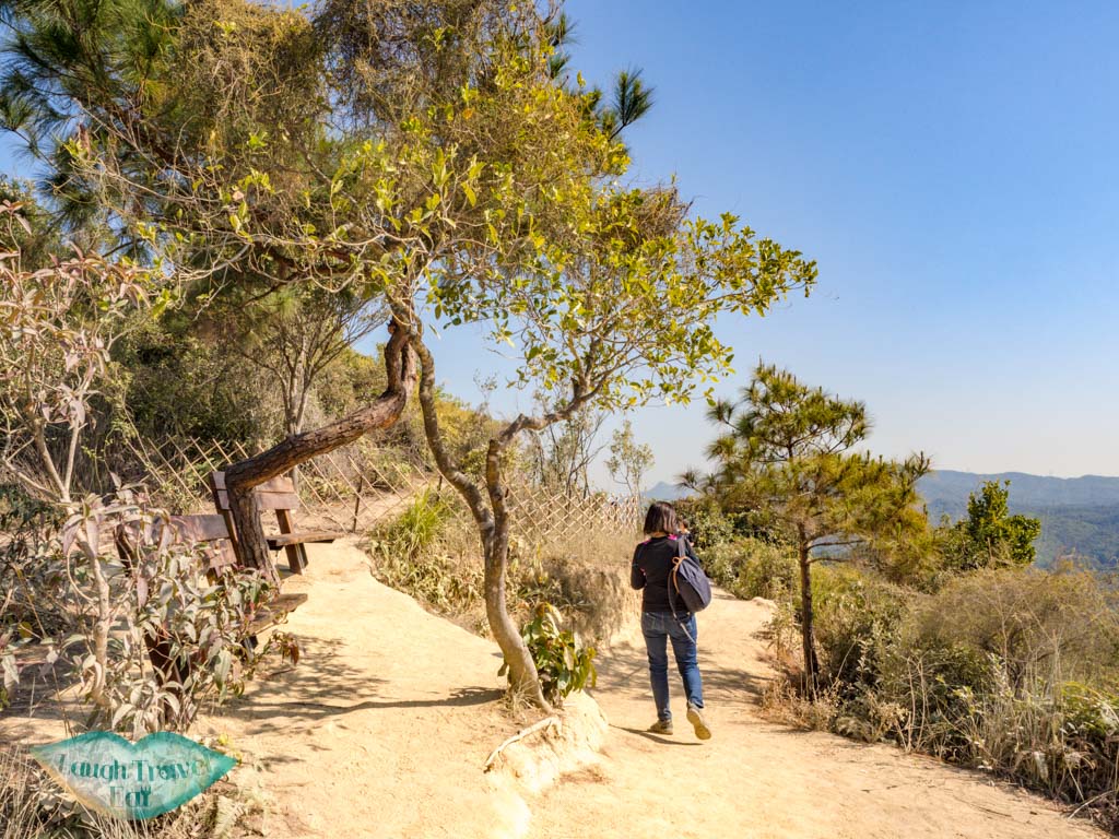 bench by reservoir island viewpoint tai lam country park yuen long hong kong - laugh travel eat