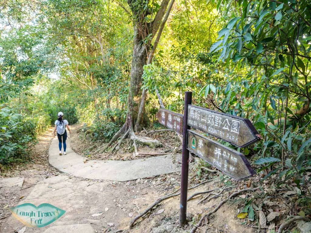 first to second bamboo tunnel pak kong trail sai kung hong kong - laugh travel eat