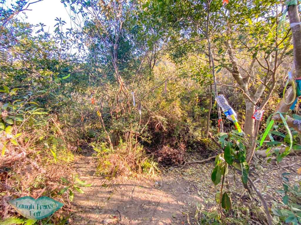 getting out of wong chuk kok tsui bluff head plover cove country park trail hong kong - laugh travel eat-3