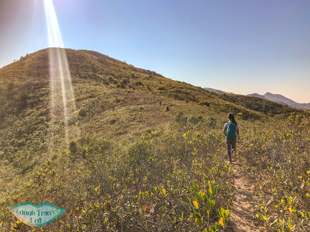 getting out of wong chuk kok tsui bluff head plover cove country park trail hong kong - laugh travel eat