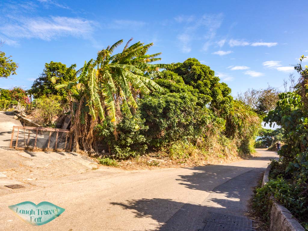 hok tsui village to marine reserve 1 cape d'aguilar hong kong island hong kong - laugh travel eat