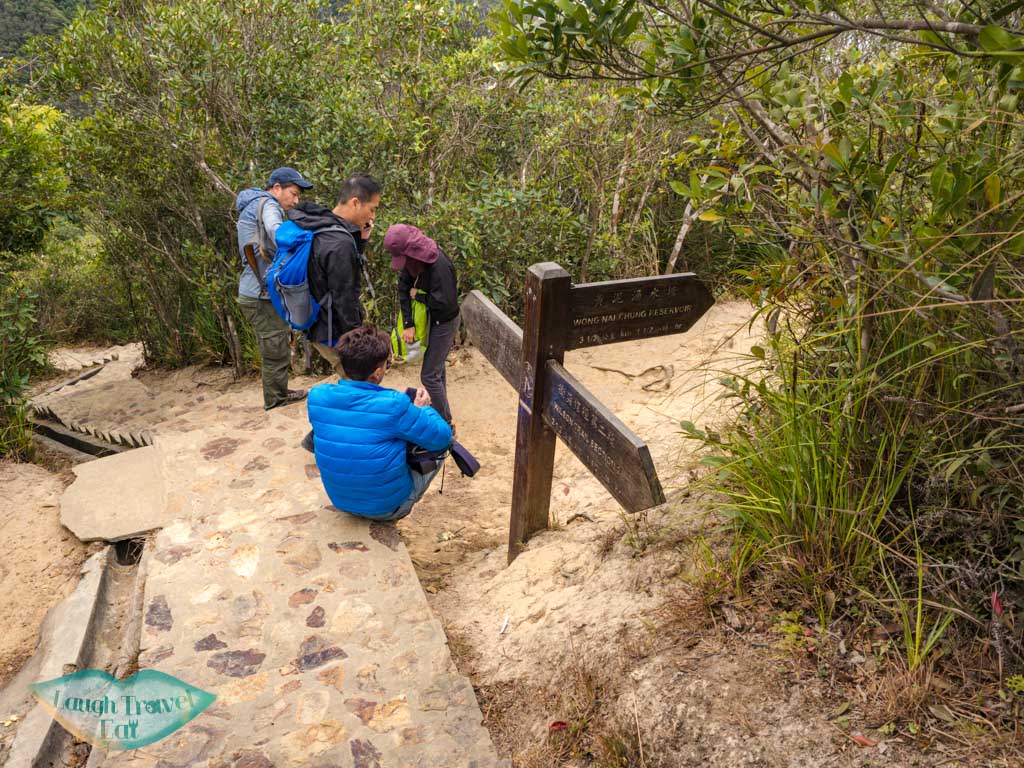 last junctions wilson trail violet hill to twins peak trail start hong kong island hong kong - laugh travel eat