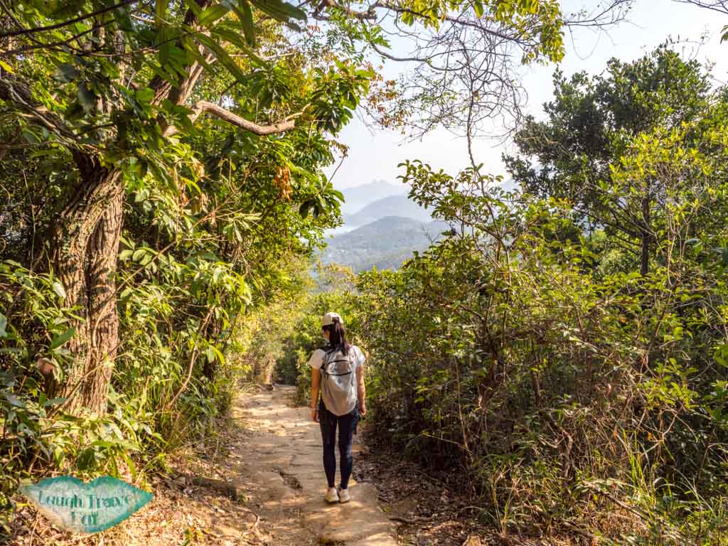 mau ping au to bamboo tunnel pak kong trail sai kung hong kong - laugh travel eat-2