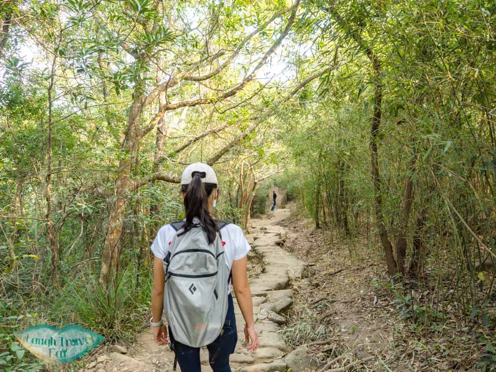 mau ping au to bamboo tunnel pak kong trail sai kung hong kong - laugh travel eat-3
