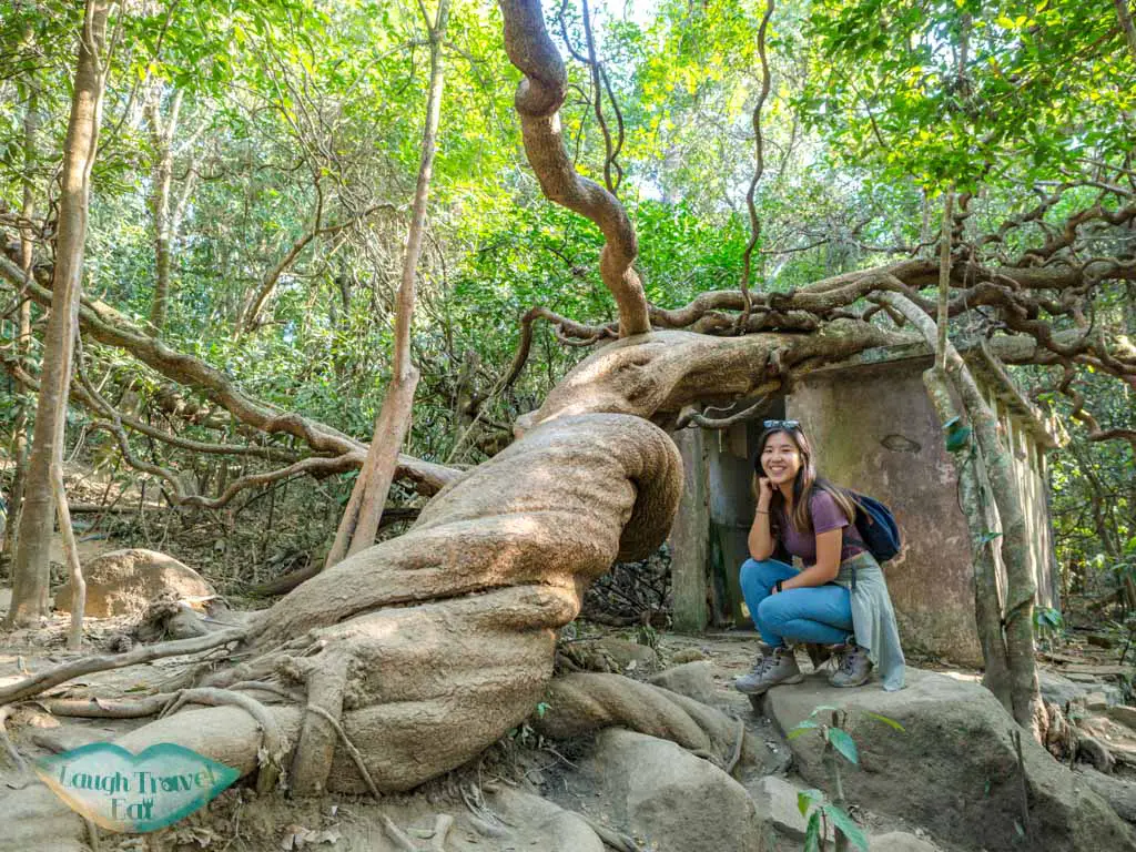 mau ping tree pak kong mau ping sai kung hong kong - laugh travel eat