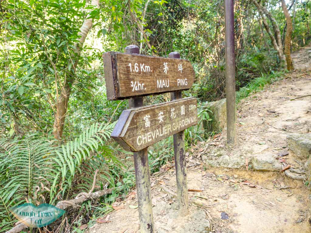 mui tsz lam village to mau ping old house sai kung hong kong - laugh travel eat