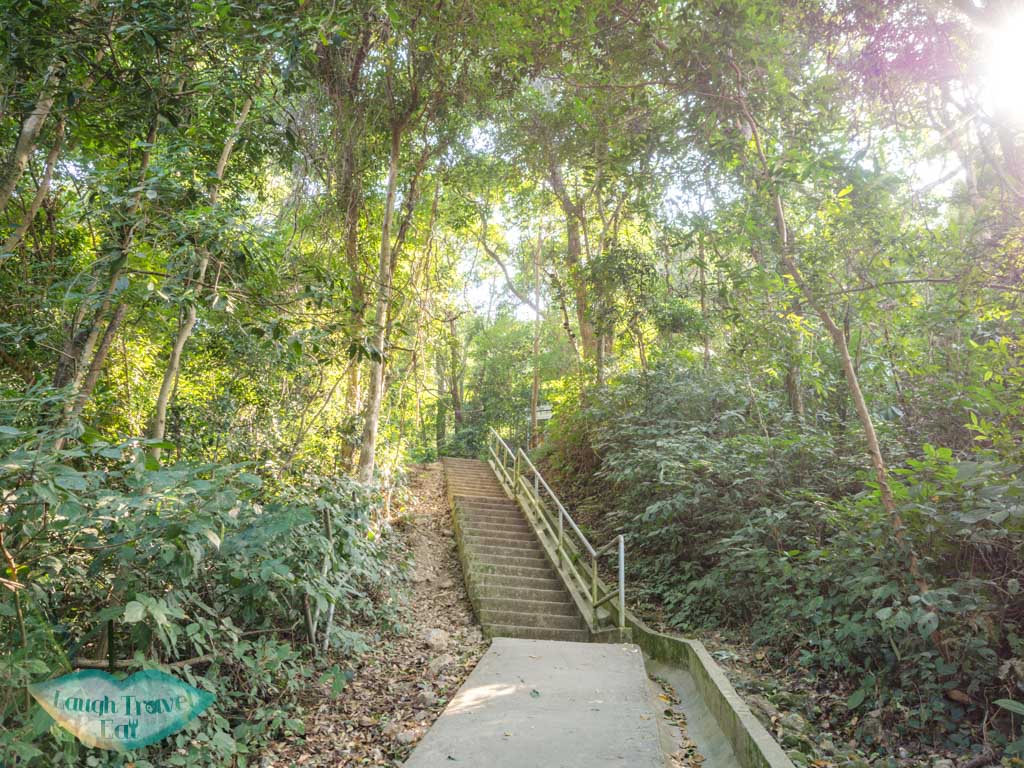 mui tsz lam village to mau ping sai kung hong kong - laugh travel eat