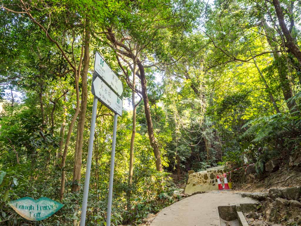mui tsz lam village to mau ping sai kung hong kong - laugh travel eat