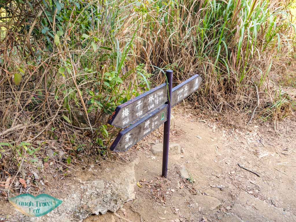 pak kong trail to sai kung hong kong - laugh travel eat