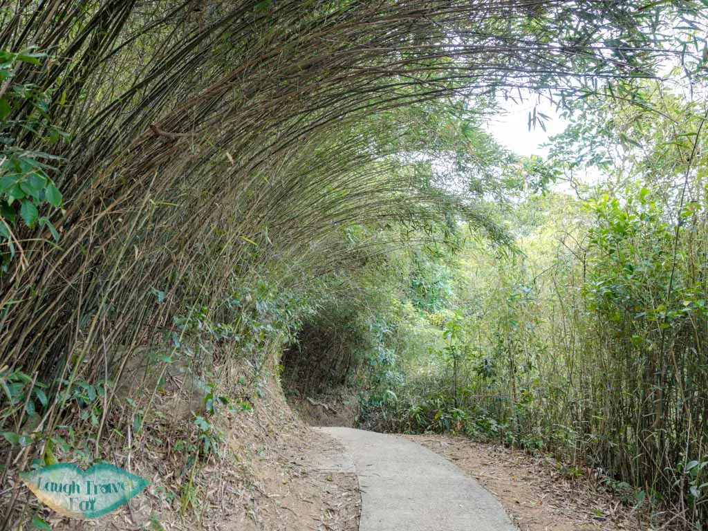 second bamboo tunnel pak kong trail sai kung hong kong - laugh travel eat