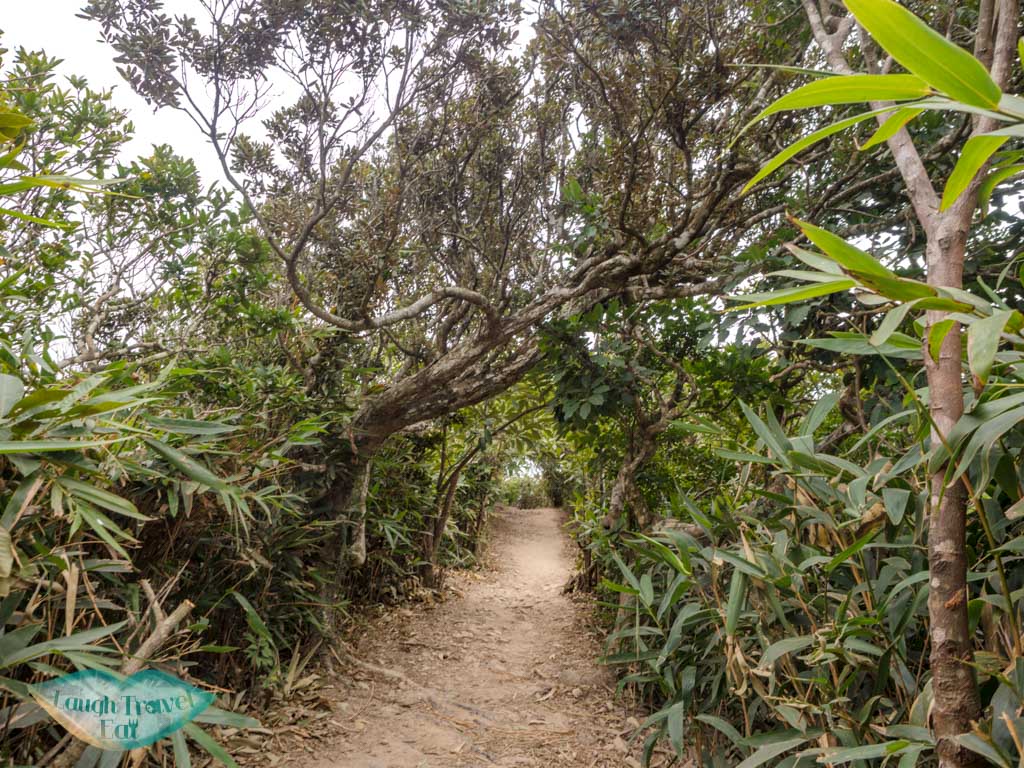 second twins peak trail start hong kong island hong kong - laugh travel eat