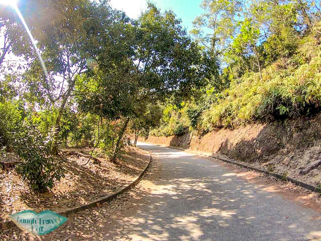 sweet gum woods junction to reservoir island viewpoint tai lam country park