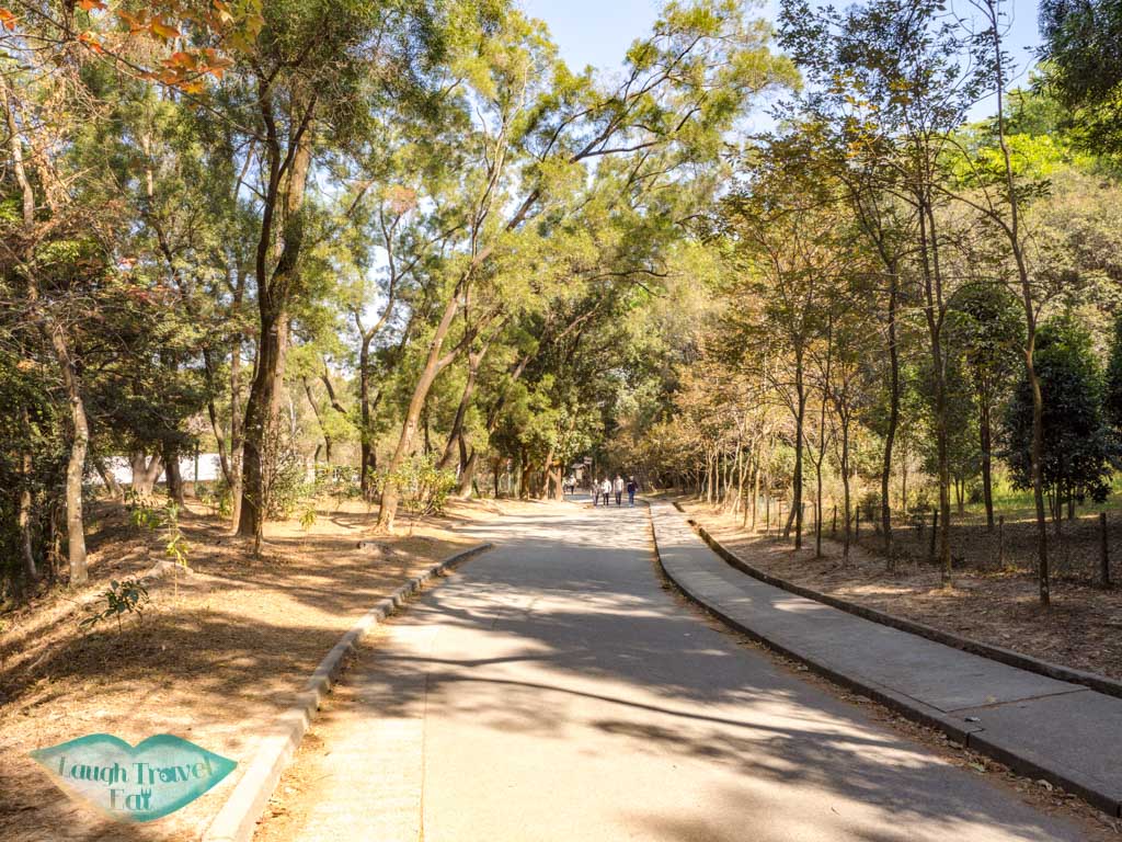 sweet gum woods tai tong to tai lam country park yuen long hong kong - laugh travel eat