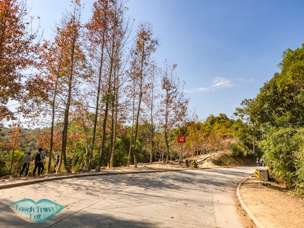 sweet gum woods tai tong to tai lam country park yuen long hong kong - laugh travel eat
