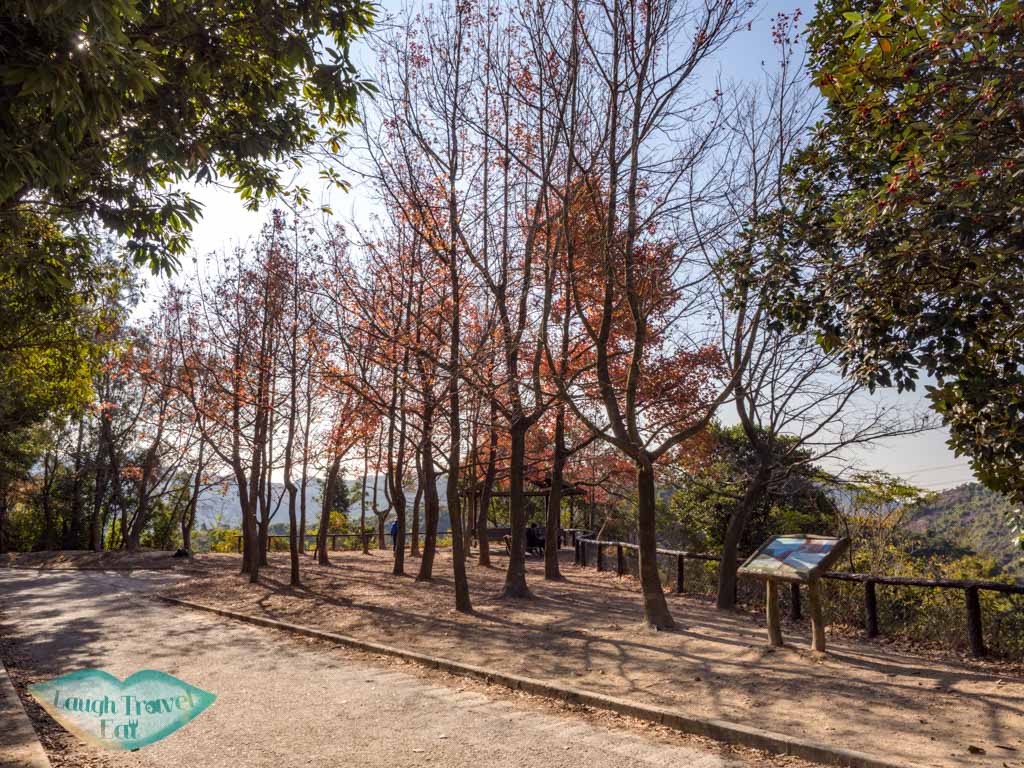 sweet gum woods tai tong yuen long hong kong - laugh travel eat-2