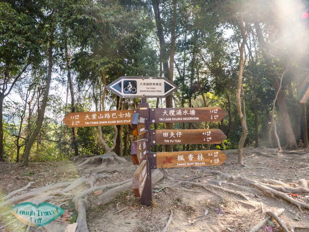 tai lam country park to tai tong sweet gum woods and reservoir island viewpoint yuen long hong kong - laugh travel eat-4