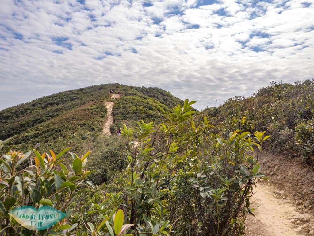 to top of wilson trail violet hill hong kong island hong kong - laugh travel eat