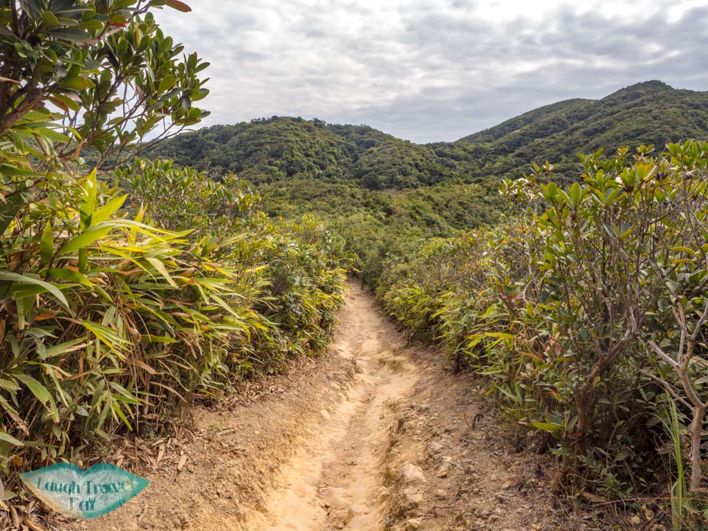 to top of wilson trail violet hill hong kong island hong kong - laugh travel eat