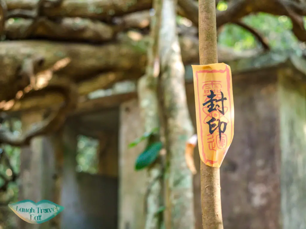 tree king mau ping au sai kung hong kong - laugh travel eat-2