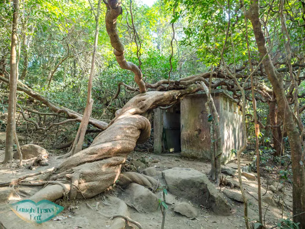 tree king mau ping au sai kung hong kong - laugh travel eat-3